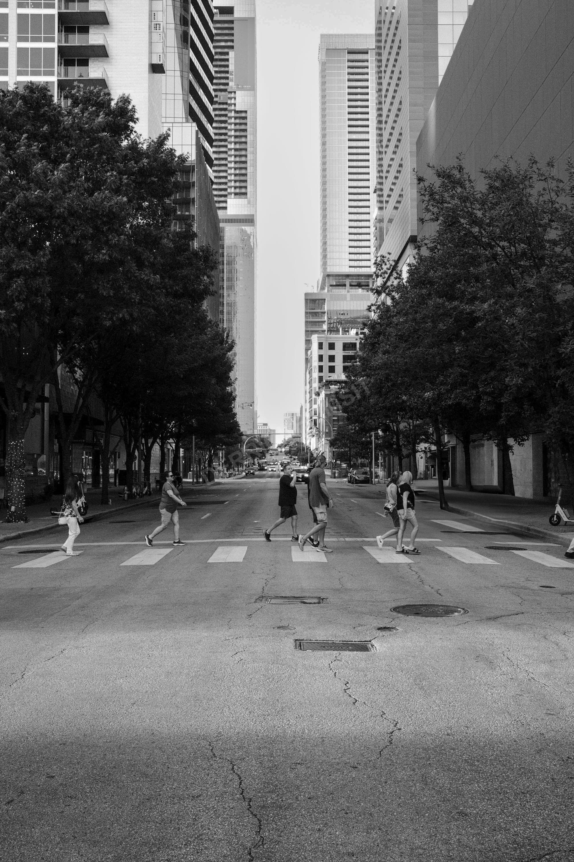 Shared Pavement