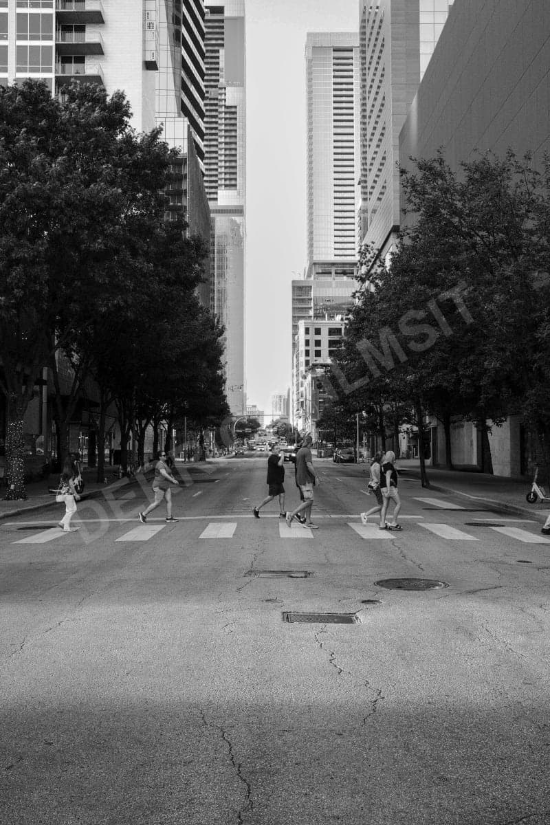 Shared Pavement — card front preview